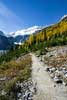 De mooie herfstkleuren rondom Lake Louise in Banff NP in Canada