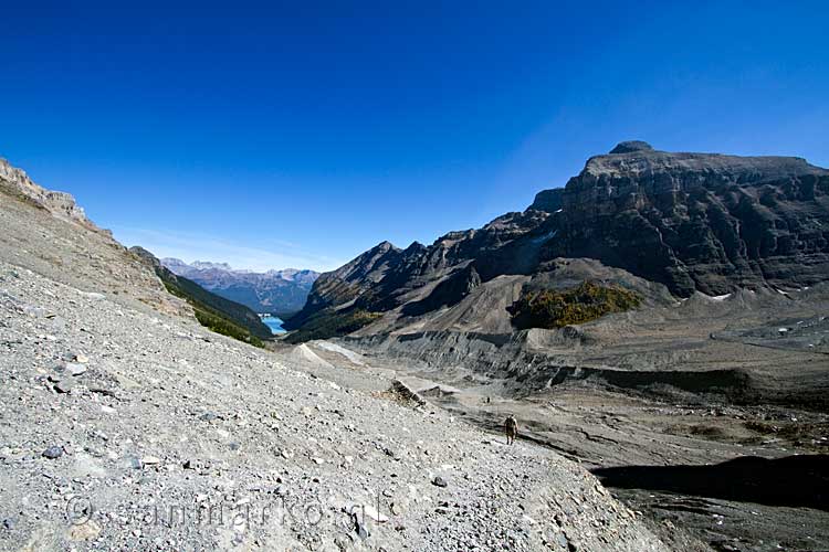 Een mooi uitzicht over de natuur rondom Lake Louise in Canada