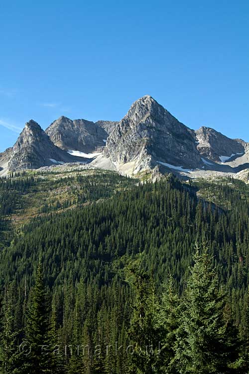 De Lizard Range bij Fernie in British Columbia