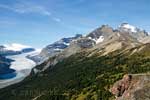 Het uitzicht tijdens de wandeling naar Parker Ridge op Mount Athabasca