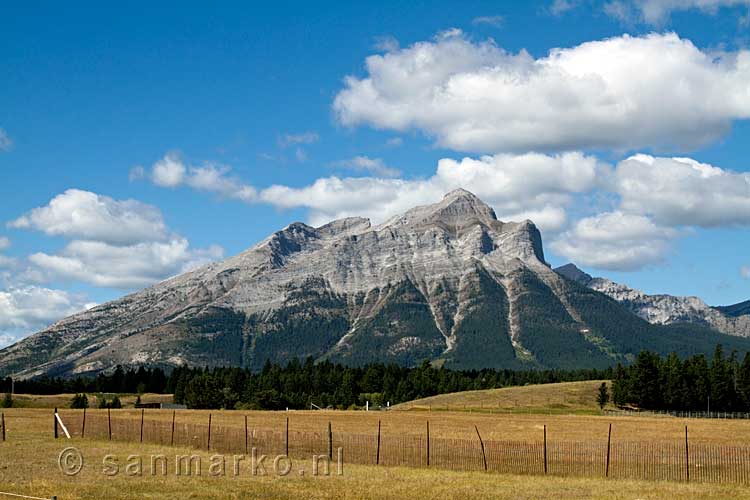 De Mount Tecumseh langs de Crowsnest Highway op de Crowsnest pass