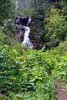 Tijdens de wandeling naar de Fairy Creek Falls bij Fernie