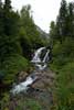 Het uitzichtpunt over de Fairy Creek Falls in Fernie in Canada