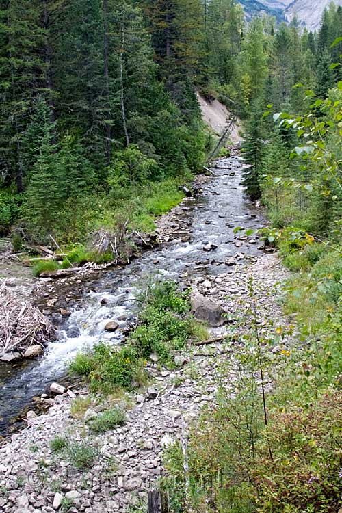 De Fairy Creek bij Fernie tijdens de wandeling naar de Fairy Creek Falls