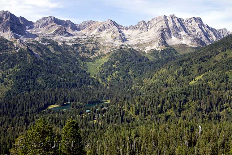 De Lizard range bij Island Lake bij Fernie in Canada