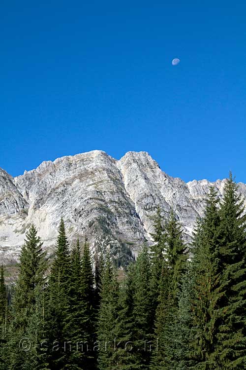 Vanaf de Island Lodge uitzicht op de Lizard Range bij Fernie