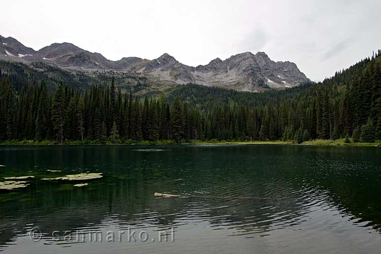 Island Lake vanaf de Lake en Fir Trail bij Fernie