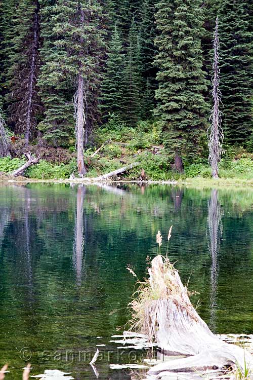 Eén van de laatste mooie uitzichten over Island Lake bij Fernie