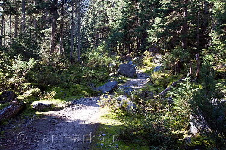 Het wandelpad door het adembenemende Glacier NP naar de Glacier Crest Trail