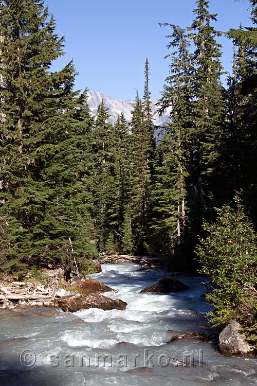 Een mooi uitzicht op de Asulkan Brook en de top van de bergen van Glacier NP