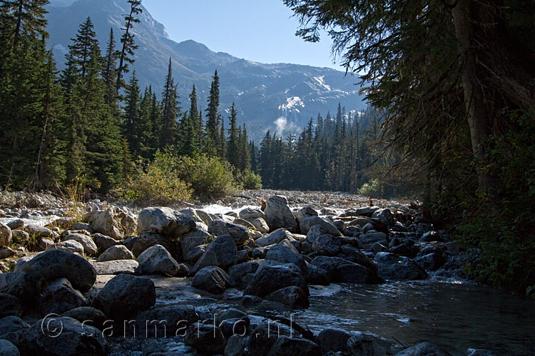 Het uitzicht op de waterval in de bergen van Glacier NP in British Columbia