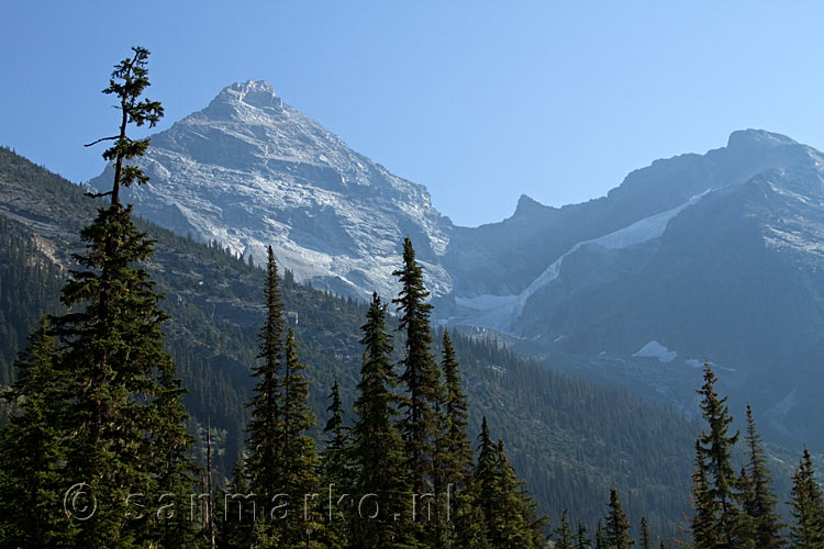 Vanaf de Glacier Crest Trail een mooi uitzicht op Mount Sir Donald in Glacier NP