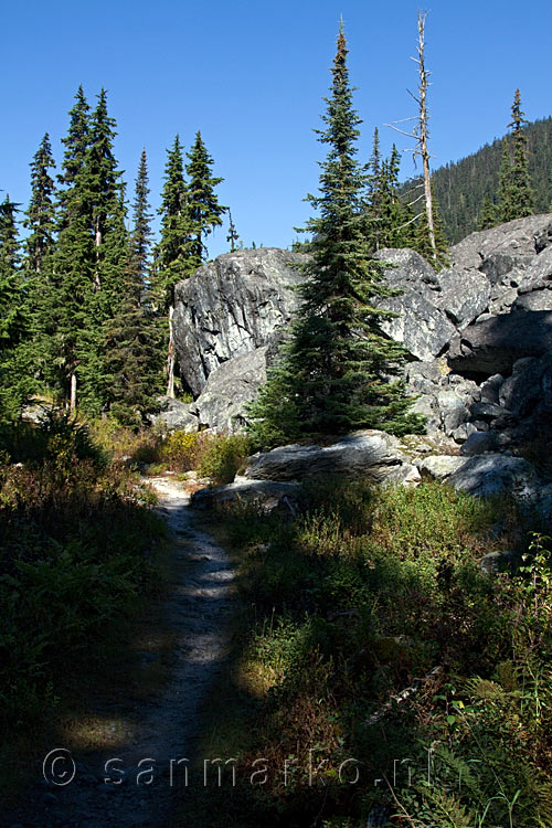 Het wandelpad aan het begin van de wandeling door de Asulkan Valley in Glacier NP