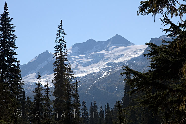 Uitzicht op de gletsjer aan het einde van de Asulkan Valley in Glacier NP