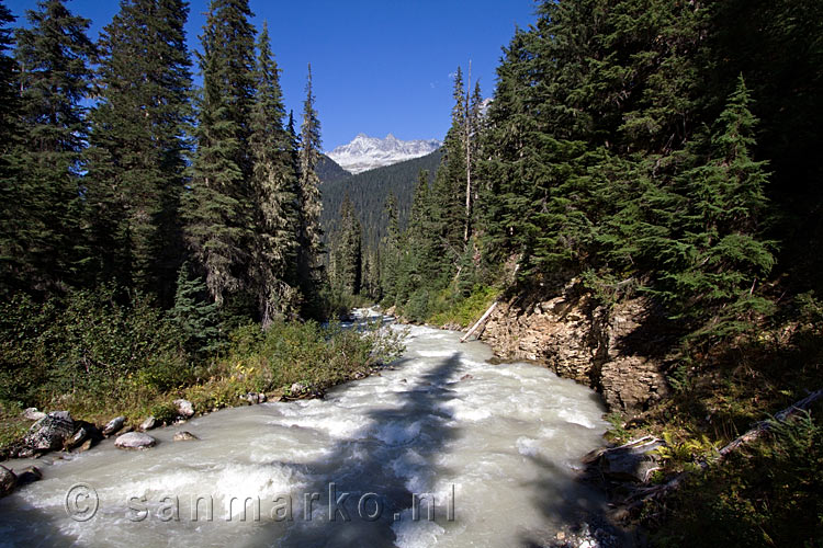 De Asulkan Brook langs het wandelpad door de Asulkan Valley in Glacier NP