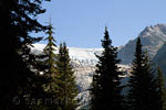 Nog een mooi uitzicht over de Illecillewaet Glacier in Glacier NP in Canada