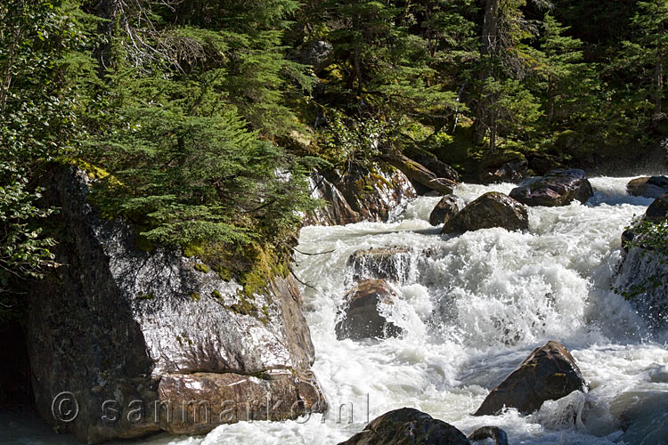 Het bruisende water in de Illecillewaet River bij de Meetings of the Waters in Glacier NP