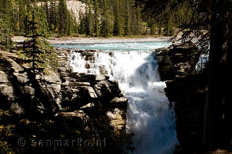 De Athabasca Falls langs de Icefields Parkway bij Jasper National Park