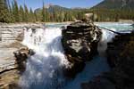 In de Athabasca River de Athabasca Fall onderweg over de Icefields Parkway