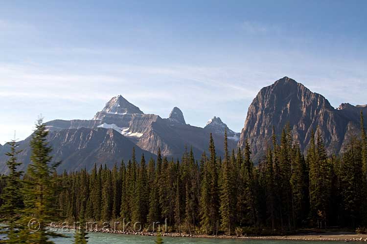 Nog een mooi uitzicht vanaf een parkeerplaats langs de Icefields Parkway