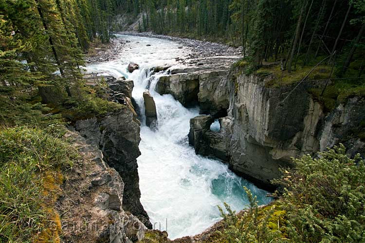 De Sunwapta Falls langs de Icefields Parkway in Alberta in Canada