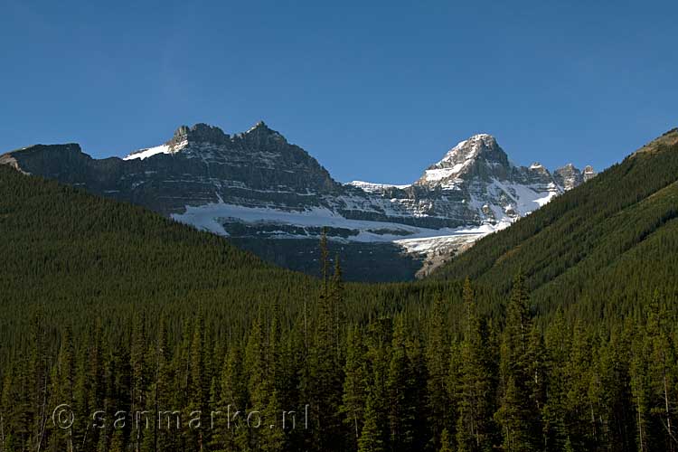 Mooie bossen en bergen langs de mooiste snelweg van Canada de Icefields Parkway