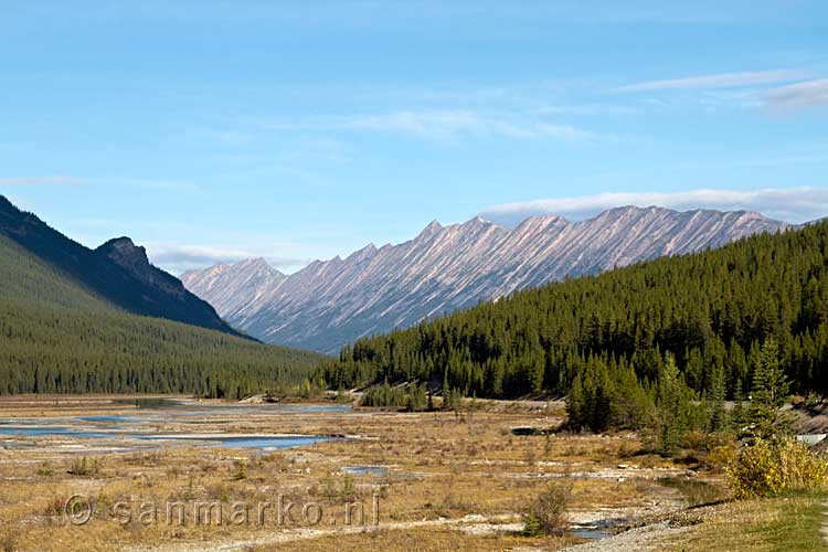 De vallei van de Icefields Parkway in Alberta in Canada