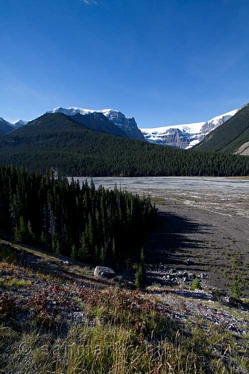 De Columbia Icefield langs de Icefield Parkway tussen Jasper en Banff