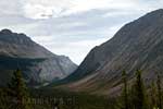 Door deze vallei gaat de Icefields Highway tussen Jasper en Banff