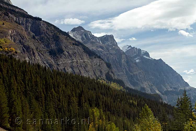 De grillige bergen rondom de Icefields Highway, route 93 in Alberta