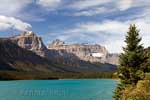 Het uitzicht vanaf Waterfowl Lake op de bergen langs de Icefields Parkway