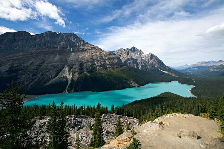 Vanaf de parkeerplaats een mooi uitzicht op Peyto Lake langs de Icefields Parkway