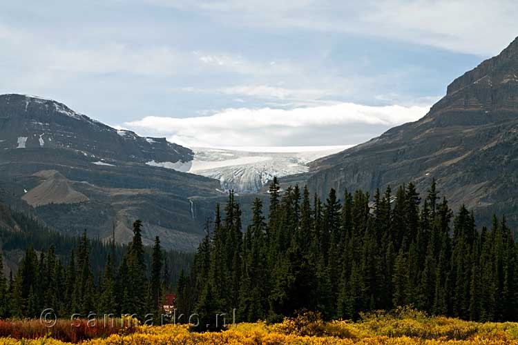 Nog een mooie gletsjer langs de Icefields Parkway in Canada