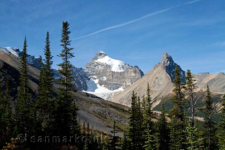 Hilda Peak en Mount Athabasca vanaf de parkeerplaats langs de Icefields Parkway