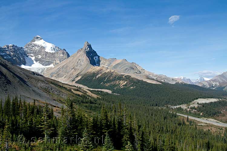 Tijdens de wandeling naar Parker Ridge, Hilda Peak en Mount Athabasca