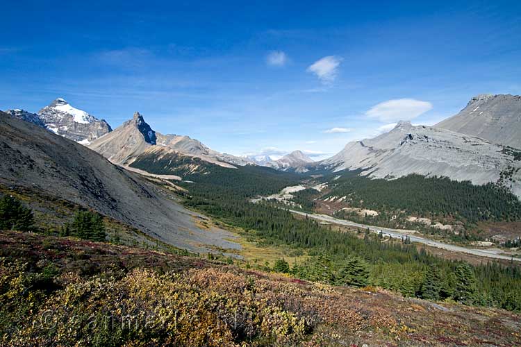 Mount Athabasca en Hilda Peak vanaf het wandelpad naar Parker Ridge