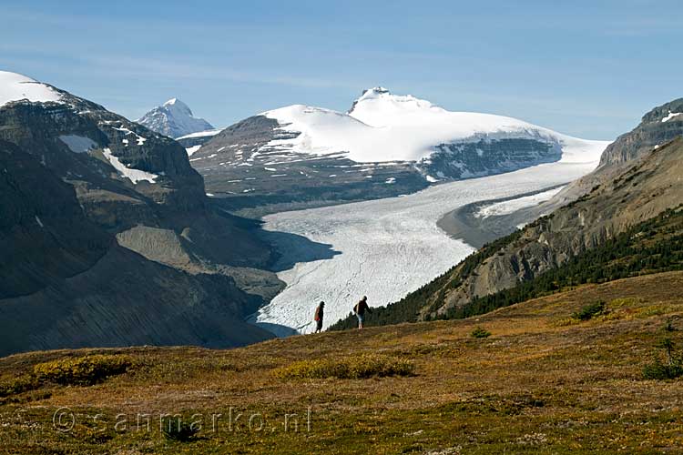 Het eerste uitzicht over Saskatchewan Glacier en Mount Saskatchewan