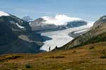 Het eerste uitzicht over Saskatchewan Glacier en Mount Saskatchewan