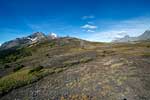 Een mooi uitzicht over Parker Ridge aan de Icefields Parkway