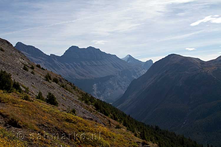 De vallei van de Saskatchewan River gezien vanaf Parker Ridge