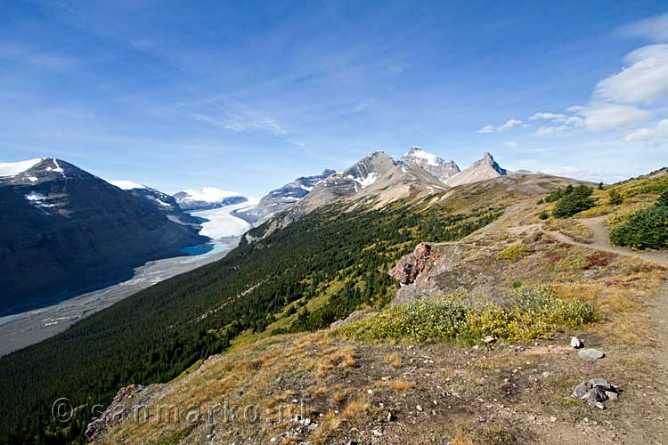 Het wandelpad over Parker Ridge met geweldige uitzichten over de Saskatchewan Glacier