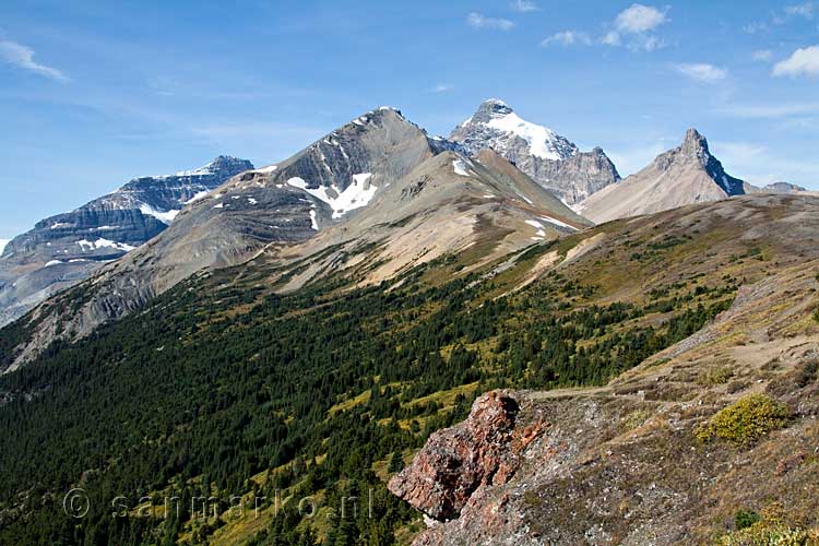 Hilda Peak en Mount Athabasca vanaf Parker Ridge langs de Icefields Parkway