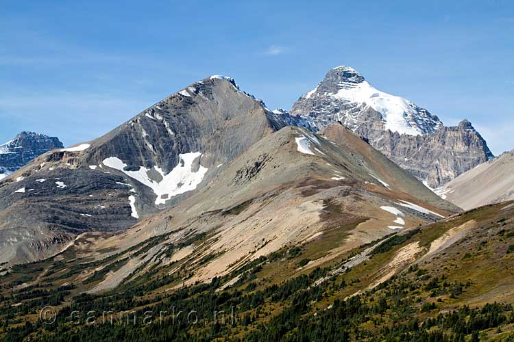 Nog een mooi uitzicht over Mount Athabasca tijdens onze wandeling naar Parker Ridge