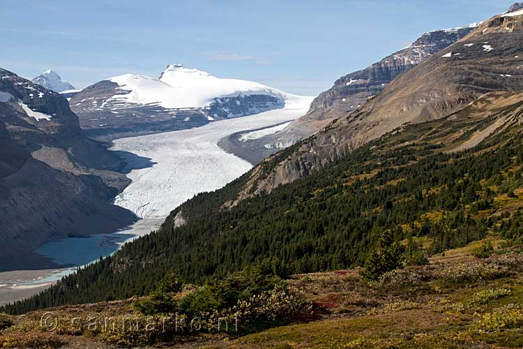 Het laatste uitzicht over Saskatchewan Glacier en Mount Saskatchewan