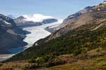 Het laatste uitzicht over Saskatchewan Glacier en Mount Saskatchewan