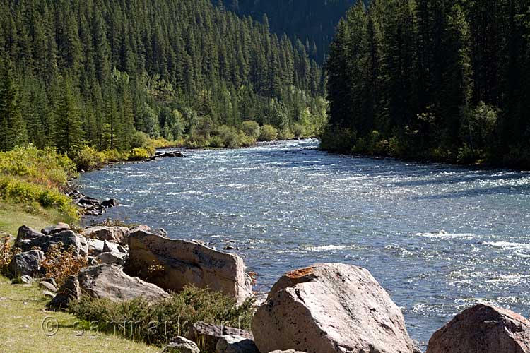 De Maligne River in de Maligne Valley in Jasper National Park