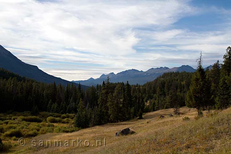 De mooie natuur van Jasper National Park in Canada