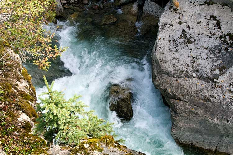 Nog een mooie waterval in Maligne Canyon in Jasper National Park