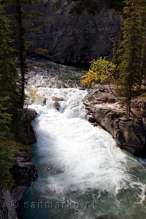 De wandeling voor Maligne Canyon is ontzettend mooi