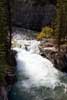 De wandeling voor Maligne Canyon is ontzettend mooi